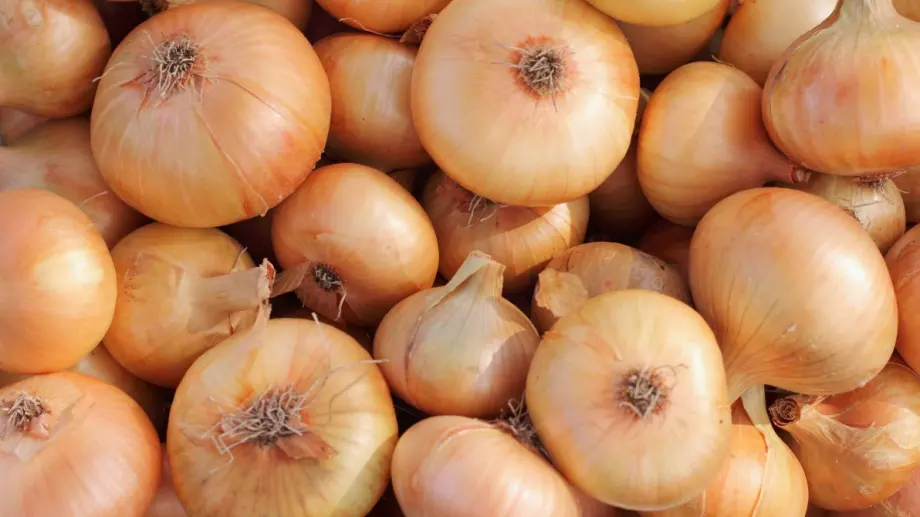 Лукът поскъпва сериозно? Индия наложи 40% износна такса върху зеленчука 