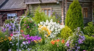 4 растения, които ще превърнат двора ви в оазис