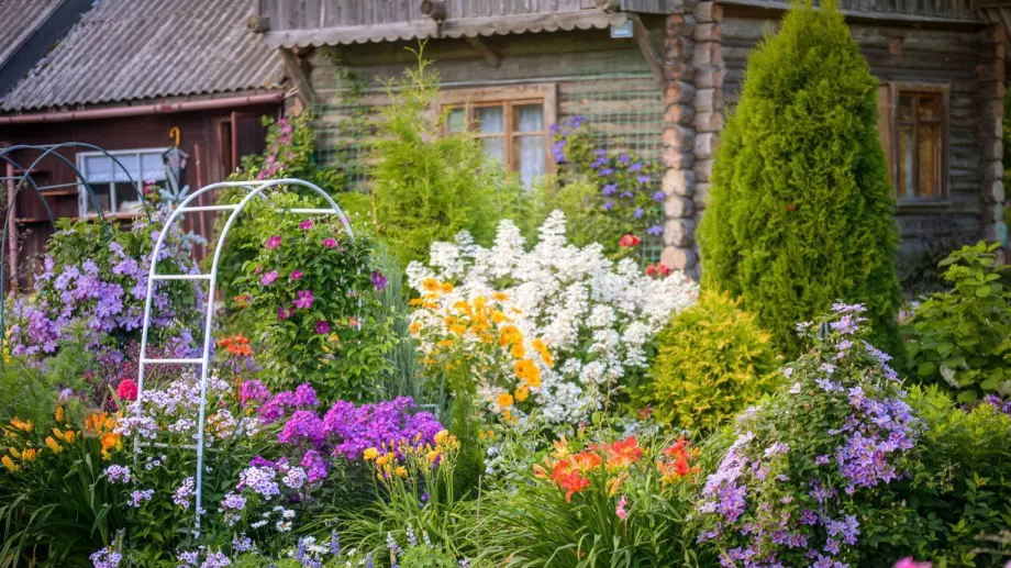 4 растения, които ще превърнат двора ви в оазис