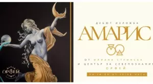 Художничката Илиана Стринска показва новолунията във всяка зодия