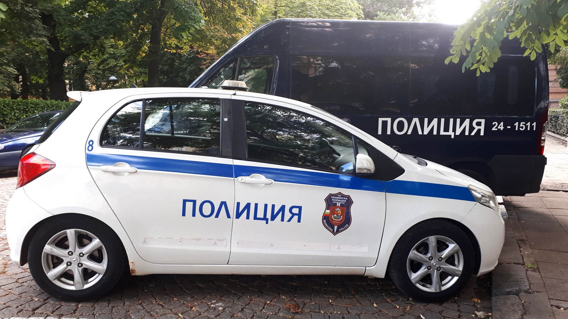 ЧСИ гони на улицата психичноболна жена: Адвокат Александър Кашъмов моли ...
