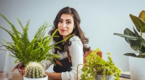 3 растения, които абсорбират излишната влага у дома