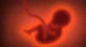 Революционно: Създадоха човешки ембрион без сперма или яйцеклетка