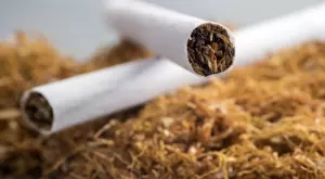 Тютюнев гигант продава бизнеса си в Русия и Беларус