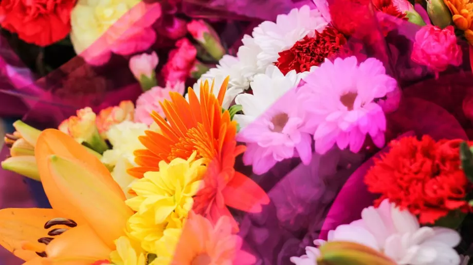 На учителя с любов – настъпва празник на цветята в магазини BILLA