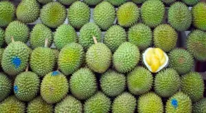 Ето защо търсенето на дуриан се увеличи с 400% на годишна база