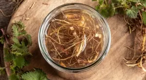 Коренът от това растение има мощни свойства през есента (СНИМКА)