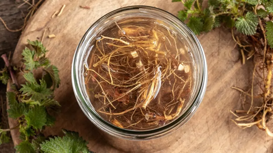 Коренът от това растение има мощни свойства през есента (СНИМКА)