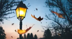 Ако сте ядосани, прочете тази притча