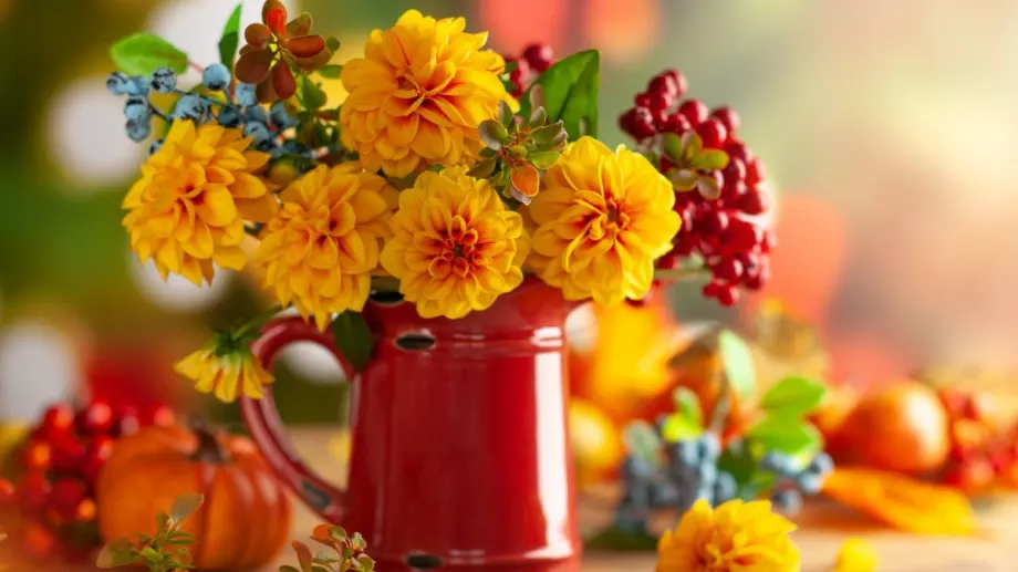 Какво ще е времето на 30 октомври 2023 (понеделник)?