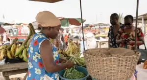 Защо терминът "Глобален юг“ измести "развиващи се пазари“?