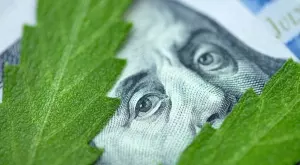 Странният случай с регулацията на бизнеса с марихуана в САЩ е напът да намери своето решение