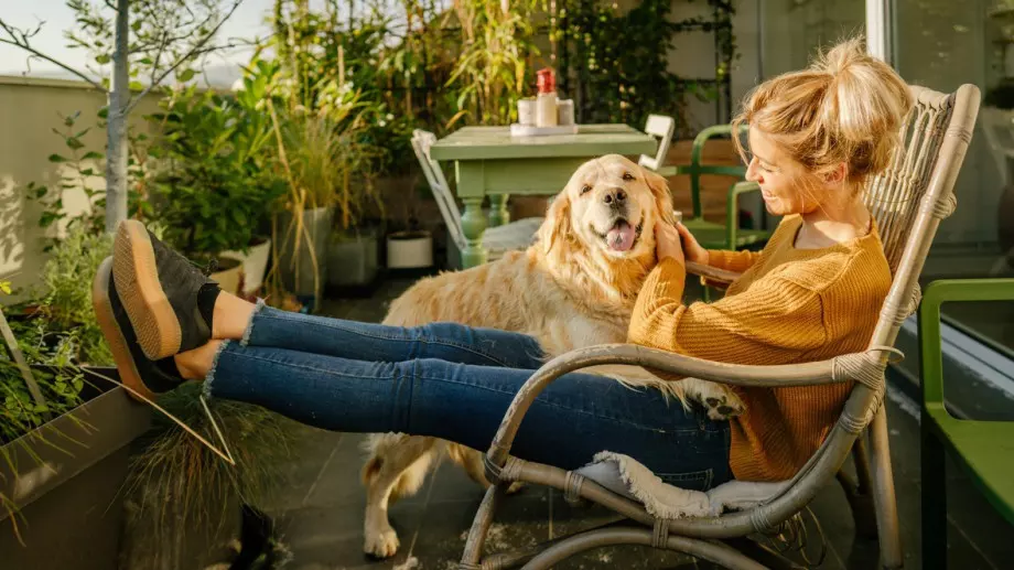 Откритие: Ето как кучетата разбират кога ще се приберат стопаните им