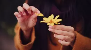 Много мъдра притча за цената на мечтите