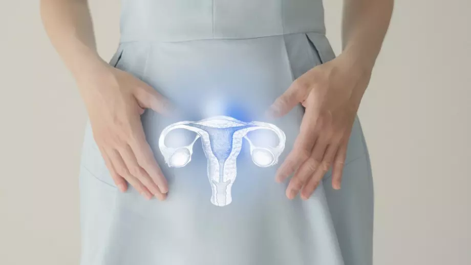 5 важни факта за женските яйцеклетки и плодовитостта