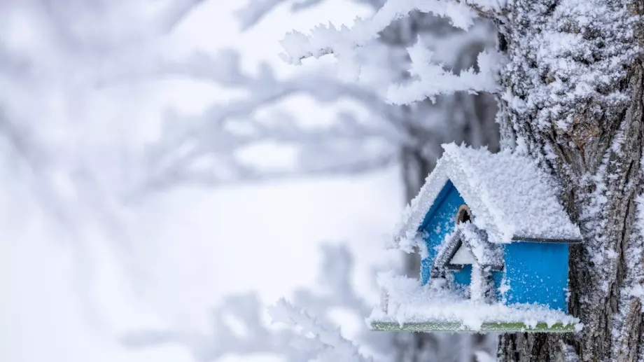 Стихотворение за 9 януари 2024