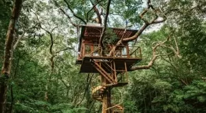 Treeful - луксозен хотел на дърво с мисъл за природата (ВИДЕО)