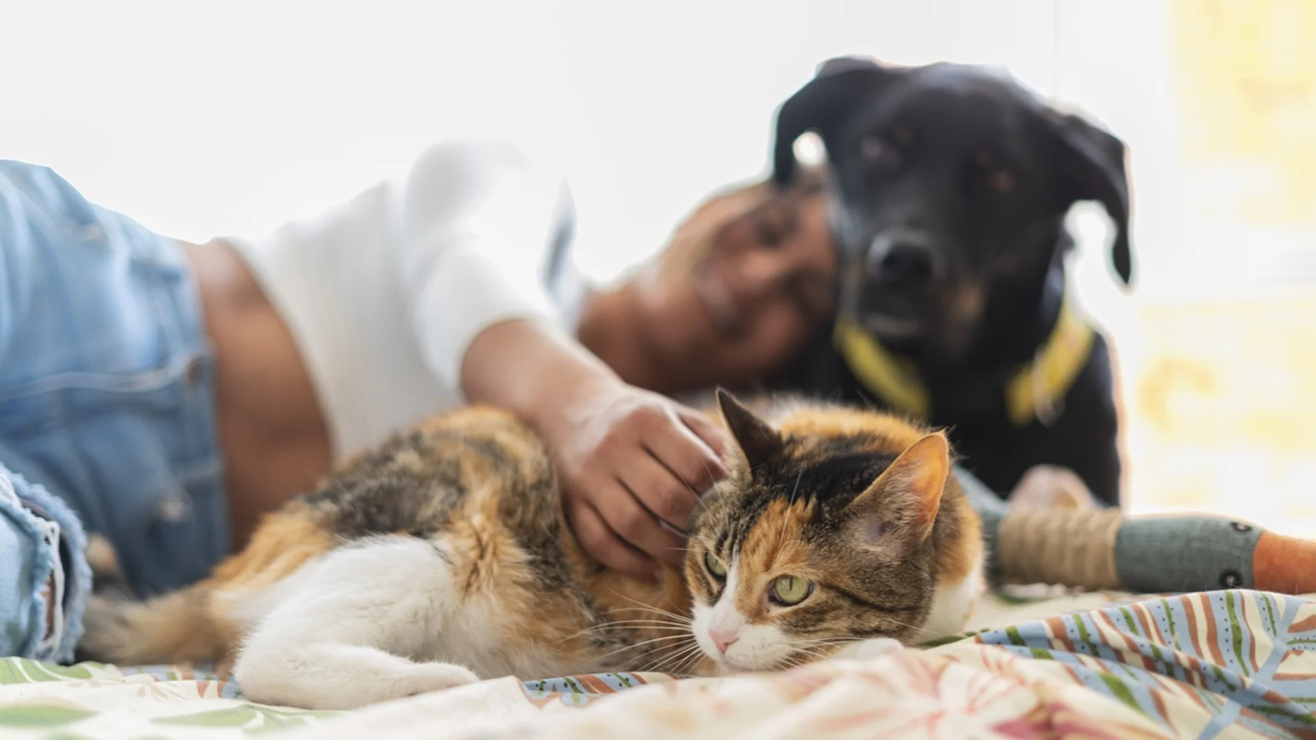 Стихотворение на деня - 11 декември 2023