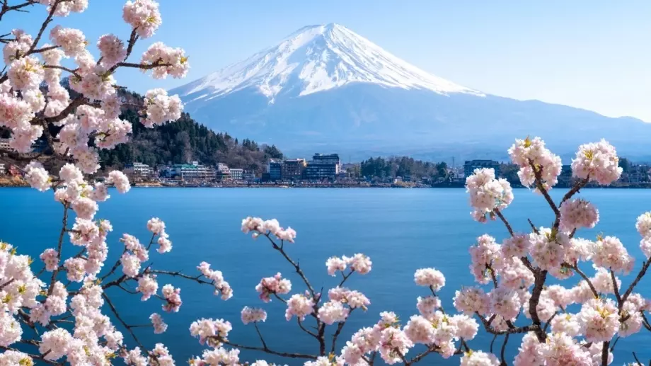 Свръхтуризъм: Град поставя двуметрова ограда, за да блокира популярно място за селфита