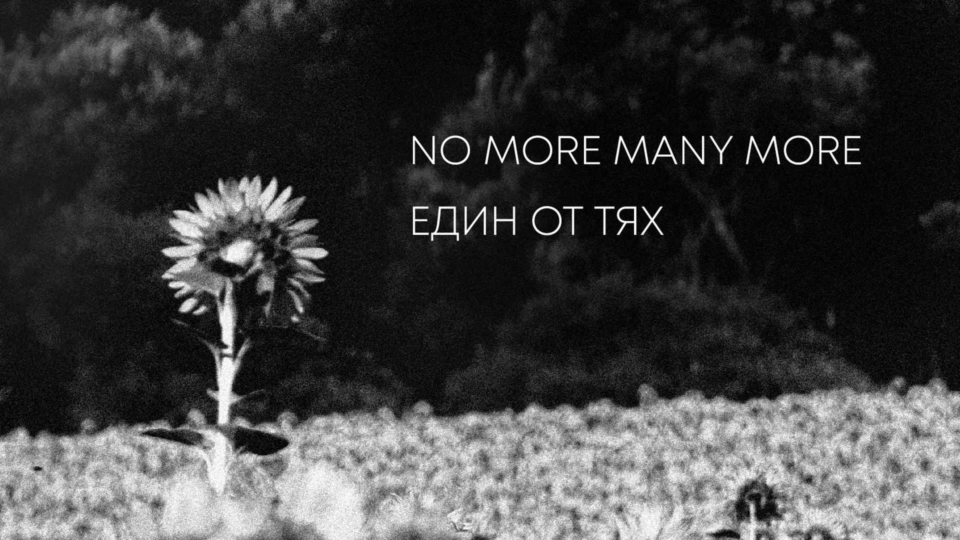 No More Many More, с десетилетие на българската музикална сцена зад гърба си