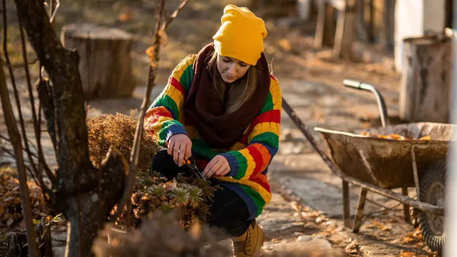 Какво НЕ трябва да пропускате при зазимяване на зеленчуковата си градина