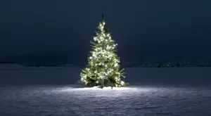 Много мъдра притча за коледната елха