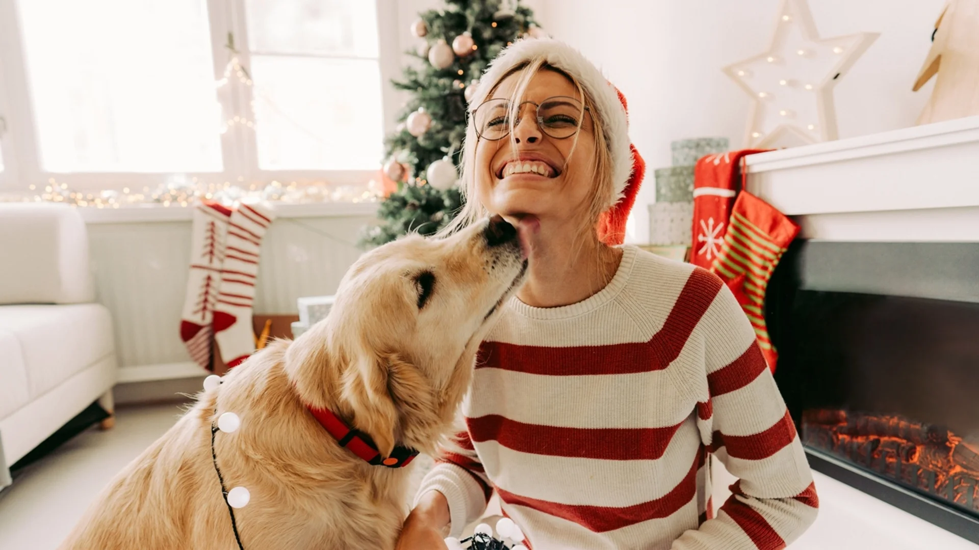 Стихотворение на деня - 18 декември 2023