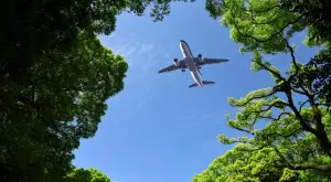 Може ли наистина самолетите да се движат с мазнини и захар?