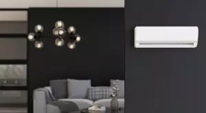 2023/12/11/0581936001702304530