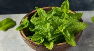 6 неподозирани ползи от маточината