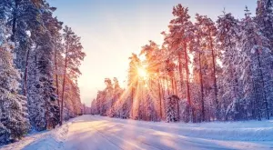 Стихотворение за 3 февруари 2024