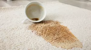 Лесни начини да се отървете от различните петна по килима