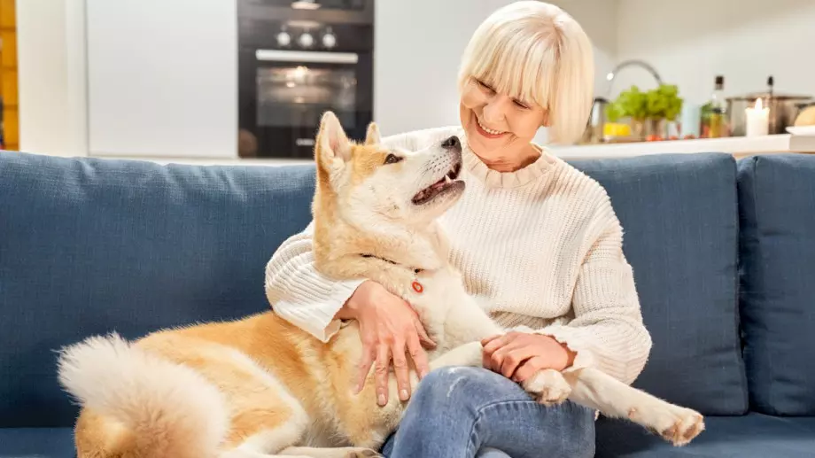 Ново проучване: Домашните любимци забавят прогресията на деменцията при възрастни хора