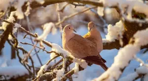 Стихотворение за 8 януари 2024