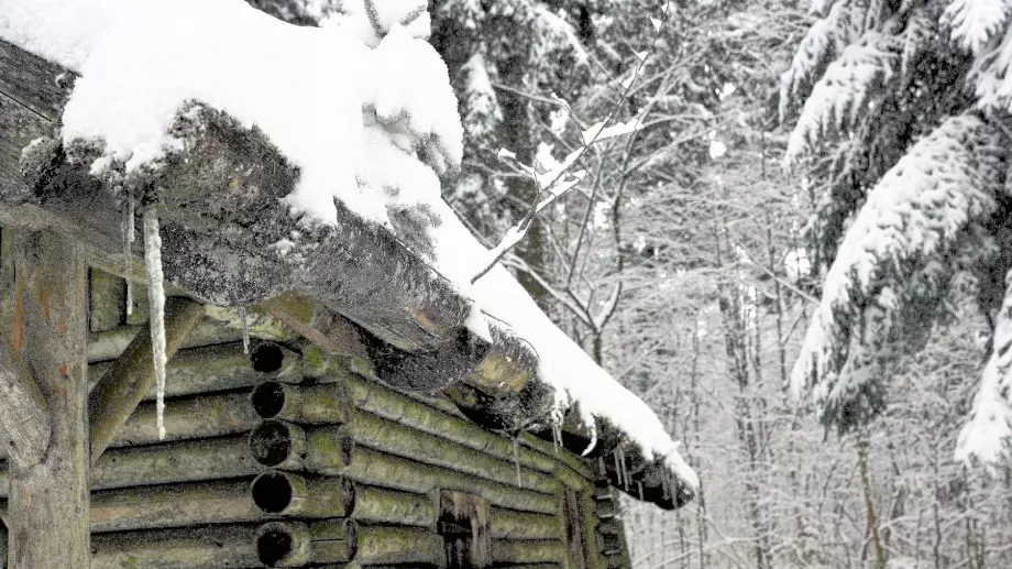 Стихотворение за 23 януари 2023
