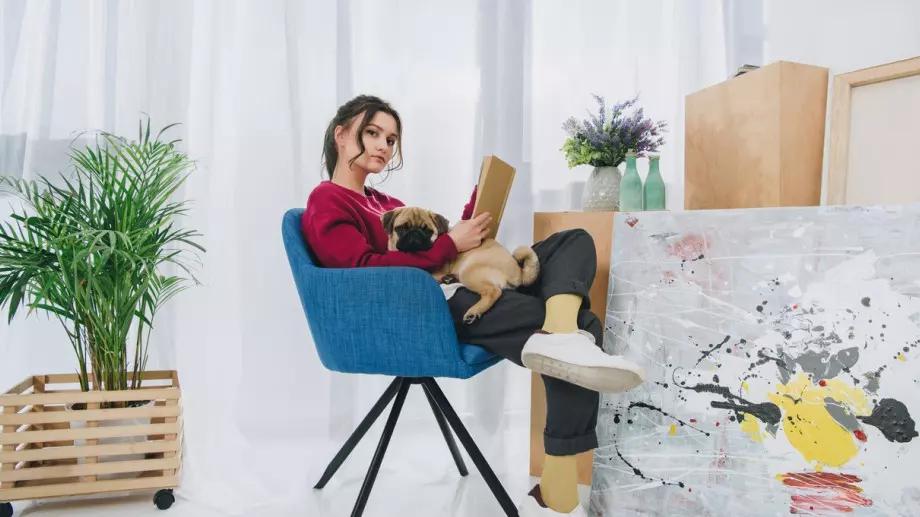 Не обичате да излизате? Това са перфектните породи кучета за вас