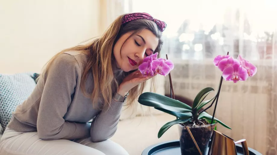 Хороскоп за днес, 25 март 2024