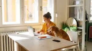 Ново проучване: По-продуктивни ли са служителите, които работят от вкъщи