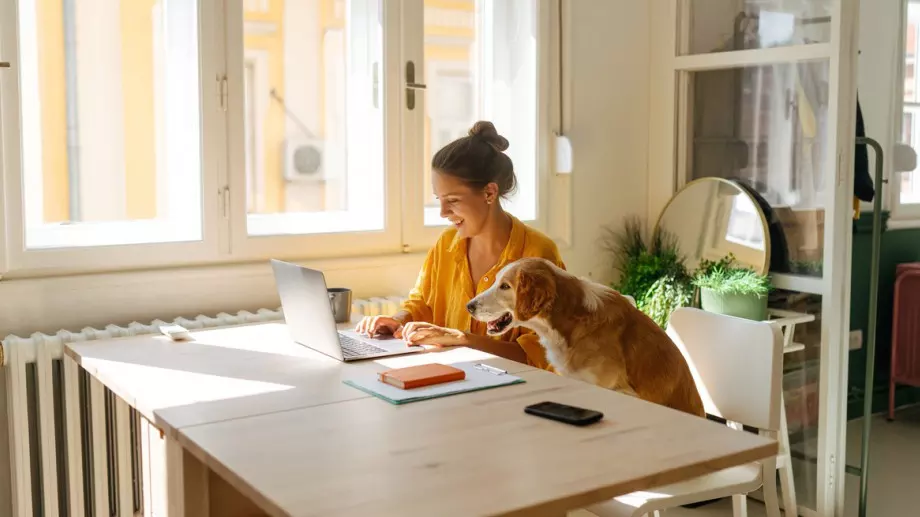 Ново проучване: По-продуктивни ли са служителите, които работят от вкъщи