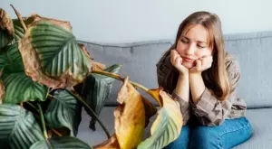 Ето какво издават листата на вашите домашни растения