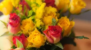 Богата селекция от сезонни цветя в BILLA ще бъде достъпна целогодишно