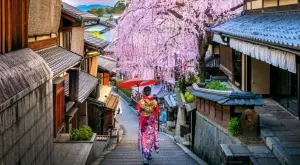 Древната столица на Япония затваря за туристите улици в квартала на гейшите. Защо? 