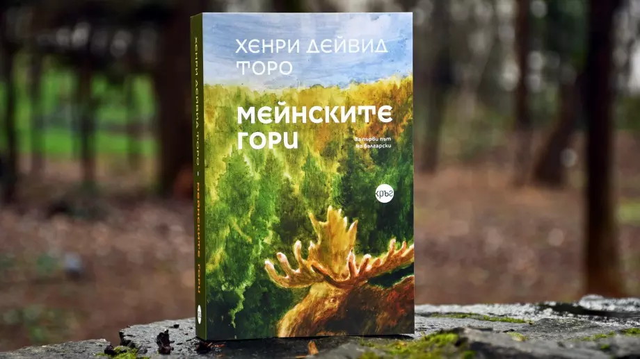"Мейнските гори" - книга, разкриваща щетите от разрушаването на природния баланс