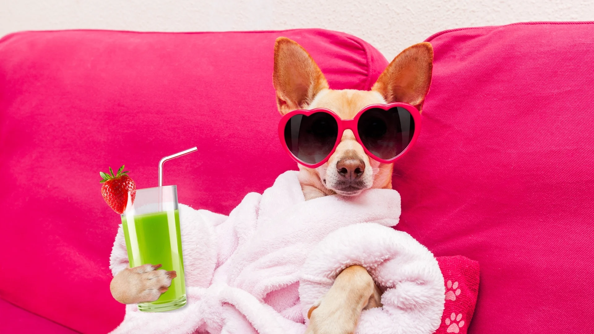 Кажи ми какво си поръчваш от бара и ще ти кажа какъв си