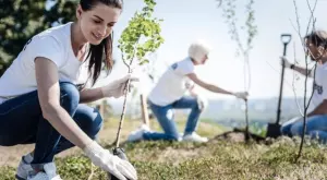 Най-честите грешки при засаждане на дървo