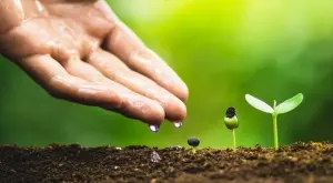 Засадете тези 5 семена и ще се радвате на реколта само след месец