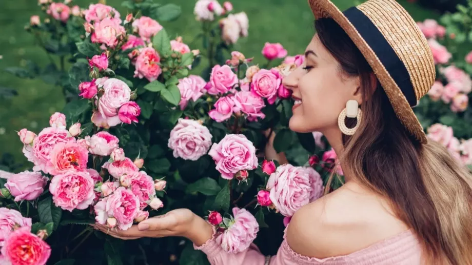 Каква е разликата между роза и трендафил