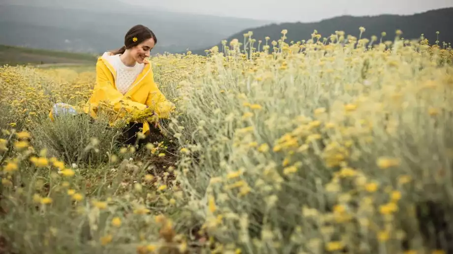 Дневна нумерологична прогноза за 22 април 2024 