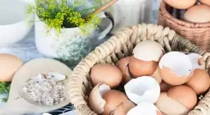Чай от яйчени черупки: мощен разтвор за вашите растения