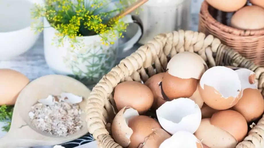 Чай от яйчени черупки: мощен разтвор за вашите растения